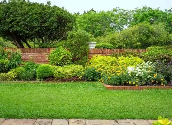 landscaping services Belfield